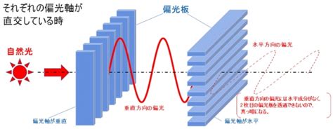 偏向|偏向（へんこう）とは？ 意味・読み方・使い方をわかりやすく。